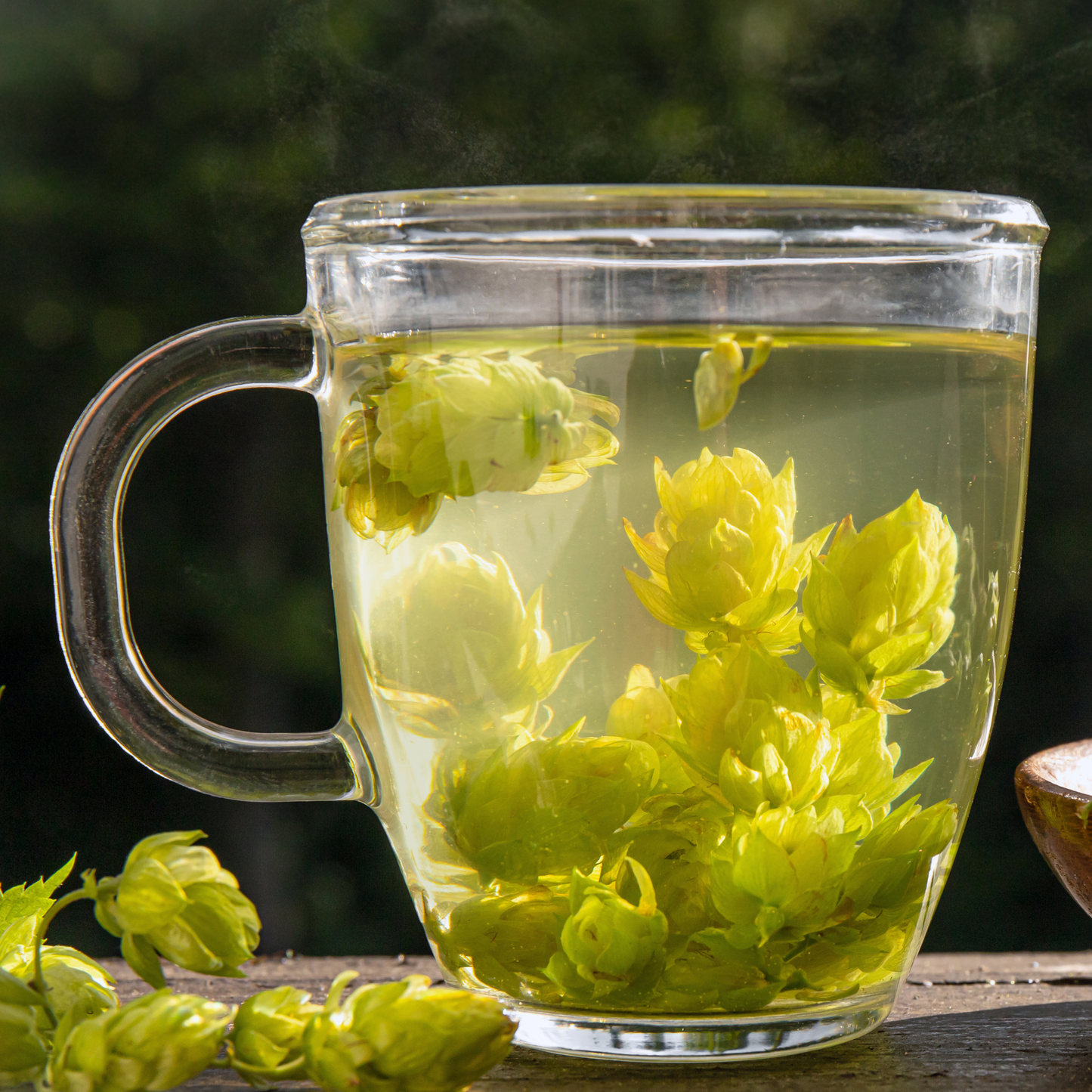 Hops Tea - Pre-Order for Fall